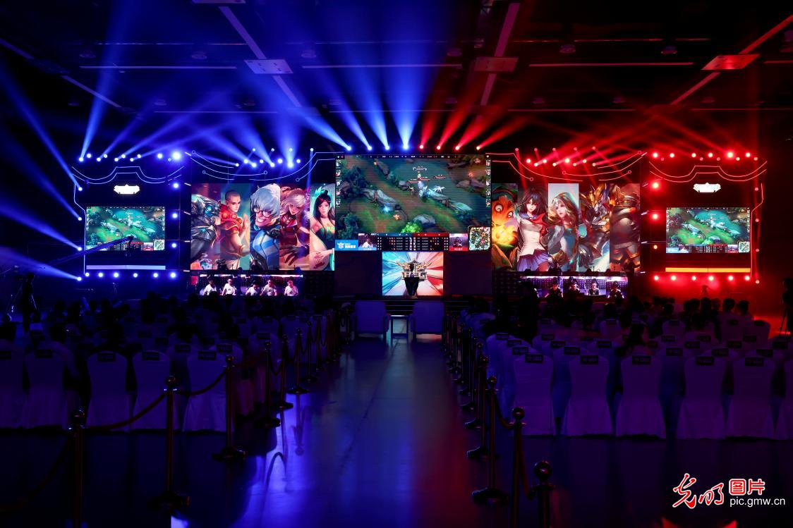 志着埃及向 志着埃及向