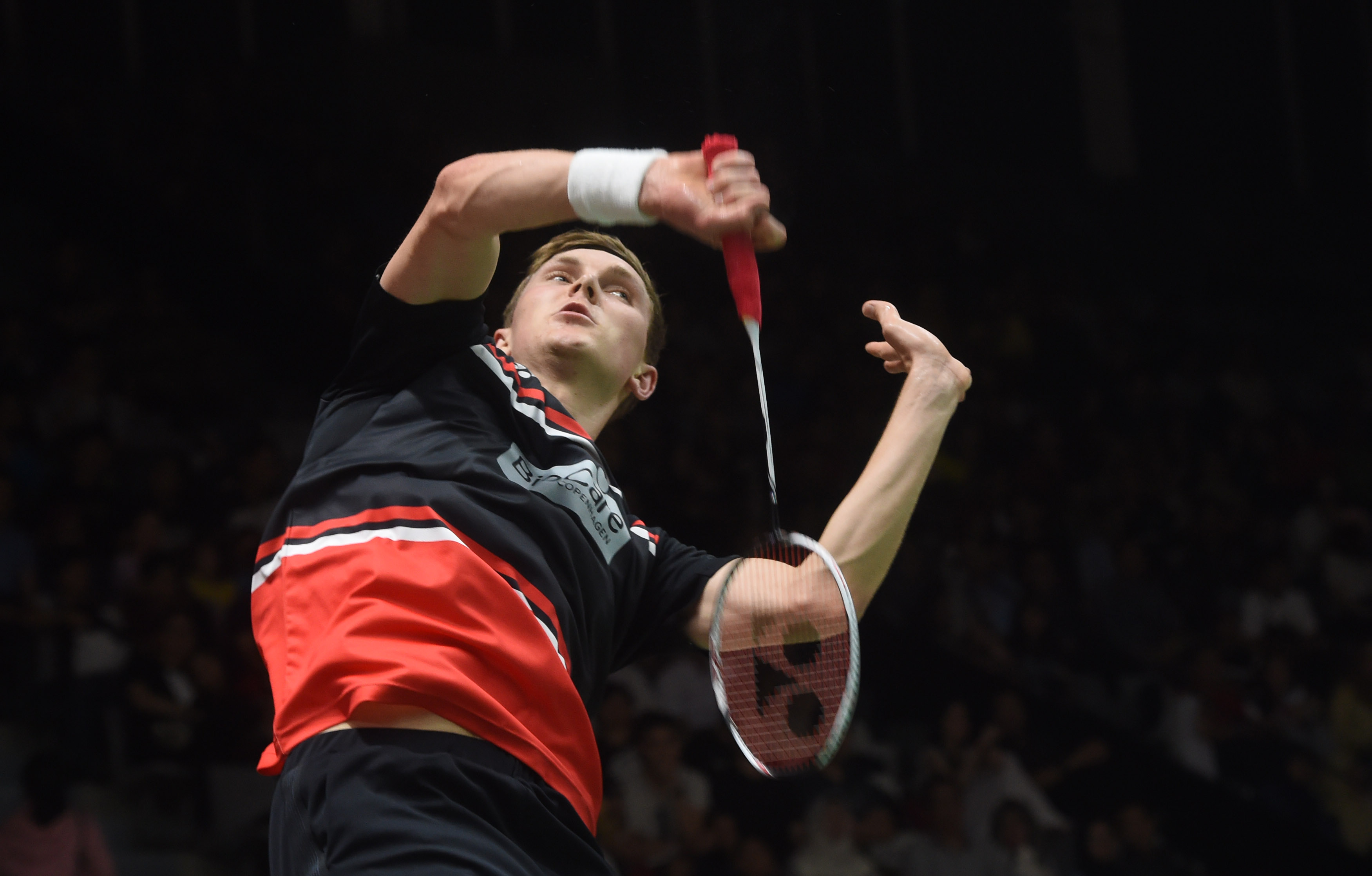 的活力与经 的活力与经